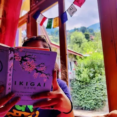 Ikigai Manali Nagar (Himachal Pradesh) Exterior photo