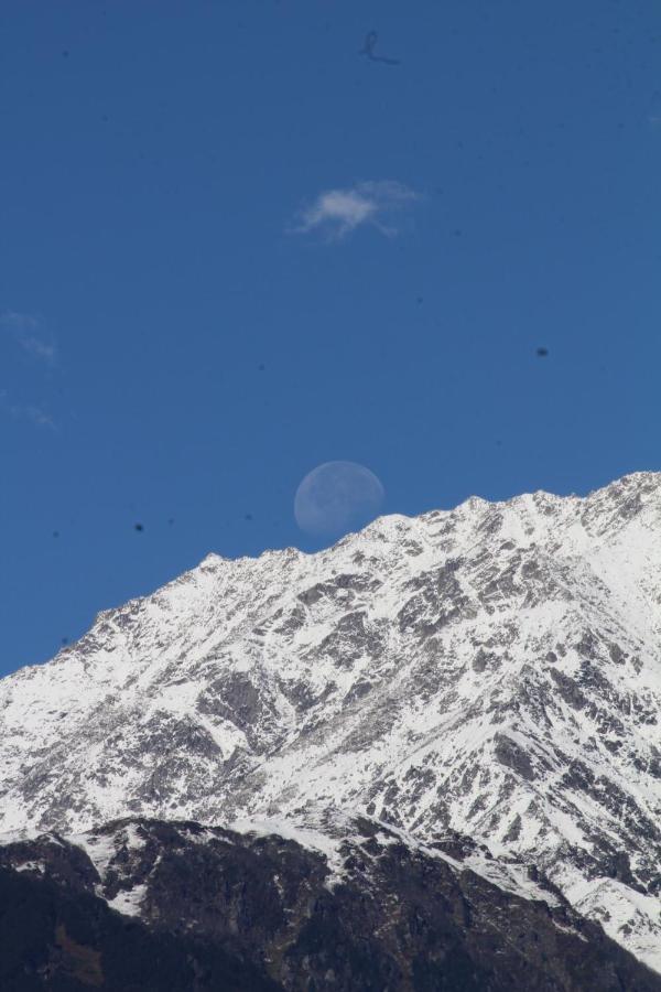 Ikigai Manali * Nagar (Himachal Pradesh)