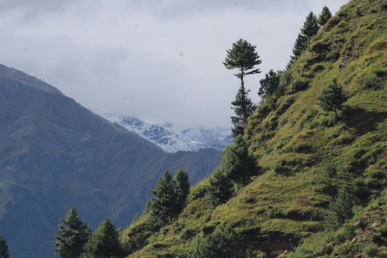 Homestay Ikigai Manali Nagar (Himachal Pradesh)