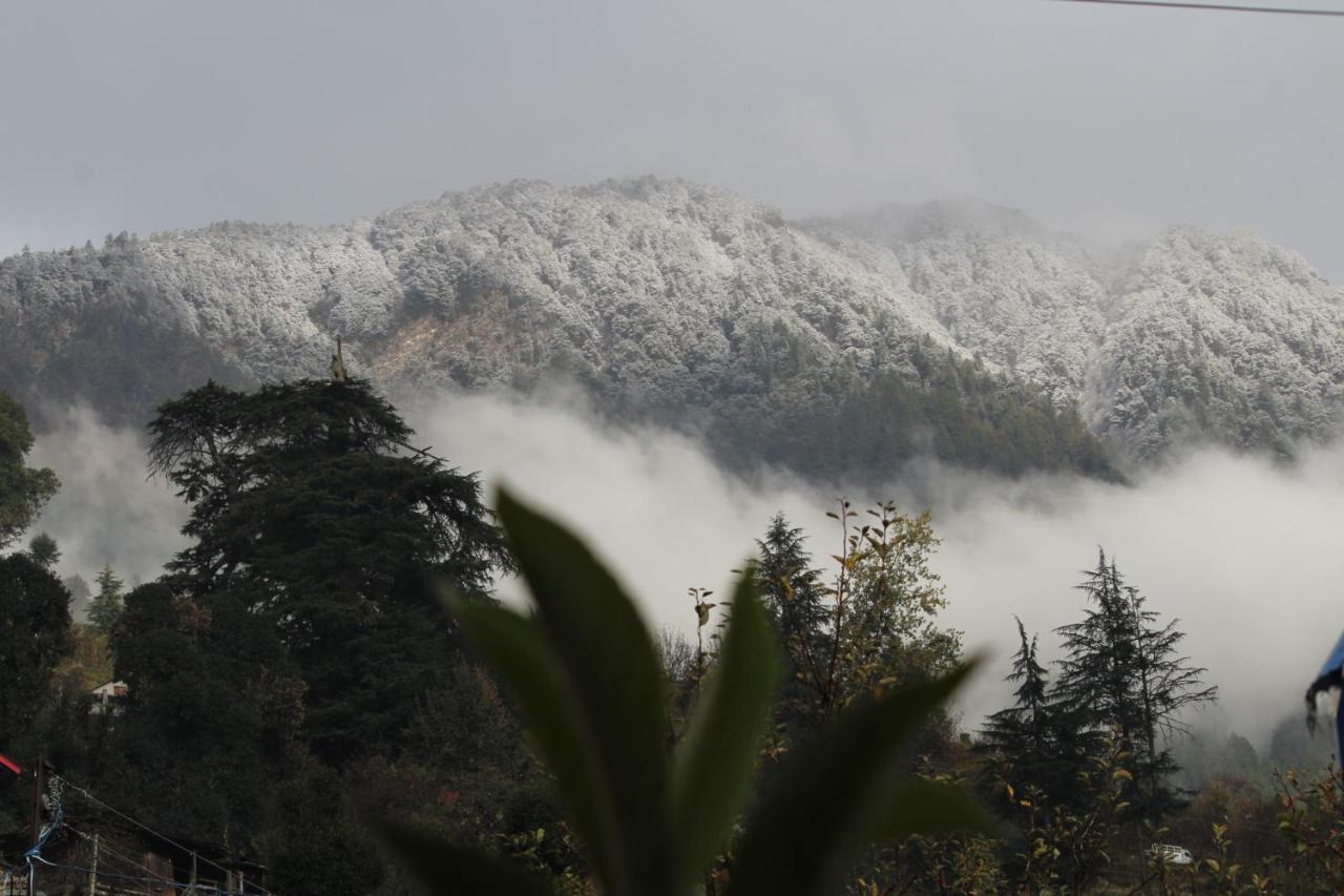 Homestay Ikigai Manali Nagar (Himachal Pradesh)